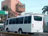 Transporte Clavellino 134