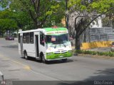 DC - A.C. de Transporte Roosevelt 081, por Otto Ferrer