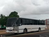 A.C. de Transporte Macizo Guayan�s 02, por M�guel Pino
