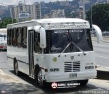 Coop. Transporte Menca de Leoni 087