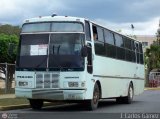 Particular 04 Fanabus Metro 3000 Pegaso 1217