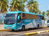 TransLimp 10 Comil Campione 3.45 2015 Volvo B270F