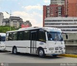 A.C. de Transporte Larense 29
