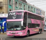Fox Bus (Perú)