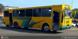 ZU - Colectivos Concepcin 015