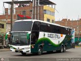 Inversiones Paredes Estrella (Per) 967