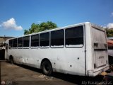 En Chiveras Abandonados Recuperacin 27, por Aly Baranauskas
