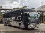 Cootransbol Ltda 31000, por Joseph Puello