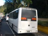 Los Rpidos S.C. 07