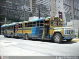 Transporte Guacara 0100 Wayne Lifeguard Ford B-750