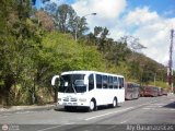 A.C. Mixta Conductores Unidos 800