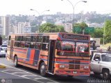 Transporte Unido (VAL - MCY - CCS - SFP) 029