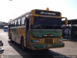 ZU - Colectivos Concepcin 081
