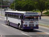 Colectivos Altagracia 01, por J. Carlos Gmez