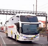 Expreso Internacional Palomino 7034, por Leonardo Saturno