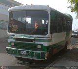 ZU - Colectivos La Limpia - La Estrella 038
