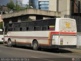 Lnea Sanare 08 CAndinas - Carroceras Andinas U1300 Pegaso 1217