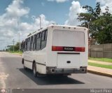 Transporte Nueva Generacin 0006