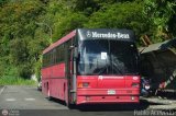 Responsable de Venezuela 0143 Maz 152 Intercity Mercedes-Benz OM-502LA