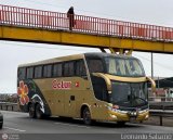 Cetur S.R.L. 955