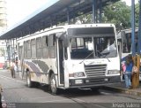 Colectivos Bripaz 135