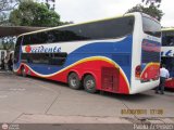 Expresos Occidente 317