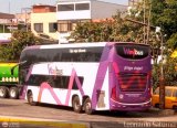 Way Bus (Per) 106