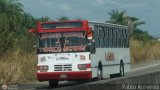 Transporte Bonanza 0022