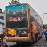 Transporte Flores Hermanos S.R.L (Per) 950......., por Leonardo Saturno