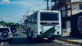 A.C. Rmulo Gallegos 51