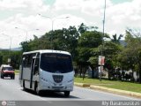 Transporte Virgen del Carmen 55, por Aly Baranauskas