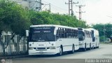 Transporte El Esfuerzo 08