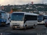 Global VIP  por Alvin Rond�n