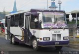 Transporte Virgen del Carmen 26
