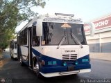 CA - Unin Caribe C.A. 25, por Aly Baranauskas