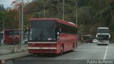 Expresos Guayana 019 Maz 152 Intercity Mercedes-Benz OM-502LA
