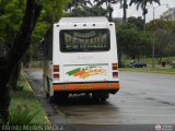 MI - Unin Circunvalacin Los Teques 045, por Alfredo Montes de Oca