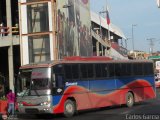 Transporte Bonanza 0012