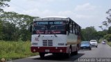 S.C. Lnea Transporte Expresos Del Chama 083 CAndinas - Carroceras Andinas Andino Pullman Desconocido NPI