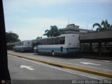 Unin Conductores Aeropuerto Maiqueta Caracas 034 por Alfredo Montes de Oca