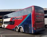 Expresos Mora 2353
