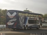 Nueva Chevallier (T.A. Chevallier) 3708