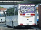 A.C. Uni�n Barquisimeto 50 por Antonio Casamayor