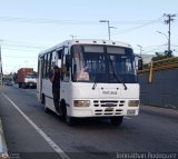 VA - A.C. Asocava 019, por Jonnathan Rodr�guez