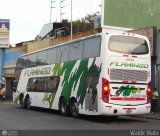 Expresos Flamingo 0050