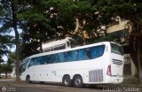 Transporte Clavellino 225