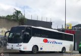 Expresos Occidente 377