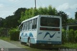 Asociacin Civil Unin Sabaneta 006