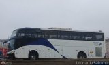 Particular 953, por Leonardo Saturno