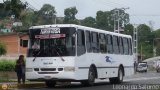 Colectivo Los Andes (Mrida - El Vigia) 45